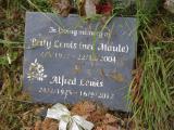 image of grave number 907207